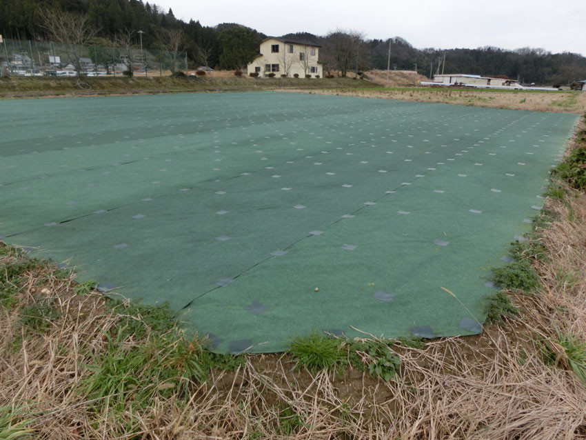 藤原産業 セフティ ３ 1mx10m シート 対策 山 庭 更地 極 畑 空き地 空地 農業 農用 雑草 駐車場 高密度防草シート クリスマス特集22 高密度防草シート