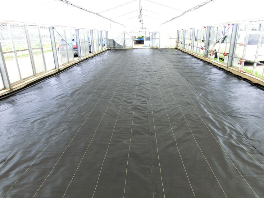 農地の防草シート施工事例 ビニールハウス 防草シート専門店 農地の防草シート施工事例 ビニールハウス 防草シート専門店