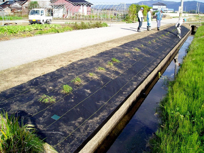 農地の防草シート施工事例 農道 水路土手 防草シート専門店 農地の防草シート施工事例 農道 水路土手 防草シート専門店