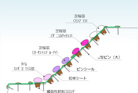 施工断面図