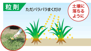 ネコソギトップ粒剤の特徴