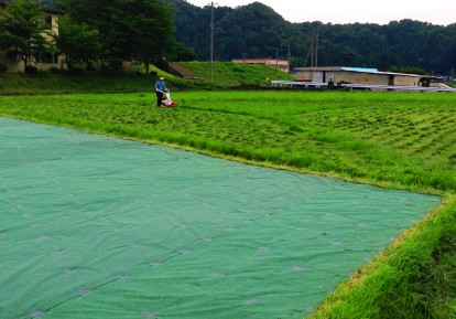 防草シート効果2015年6月撮影