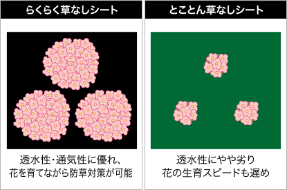 花の生育スピードが違う