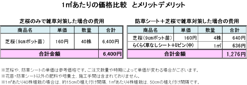 芝桜1㎡あたりの価格比較20191001-850x294