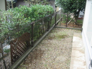 草むしり