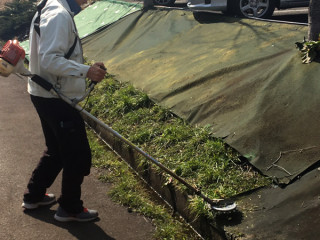 02_雑草処理
