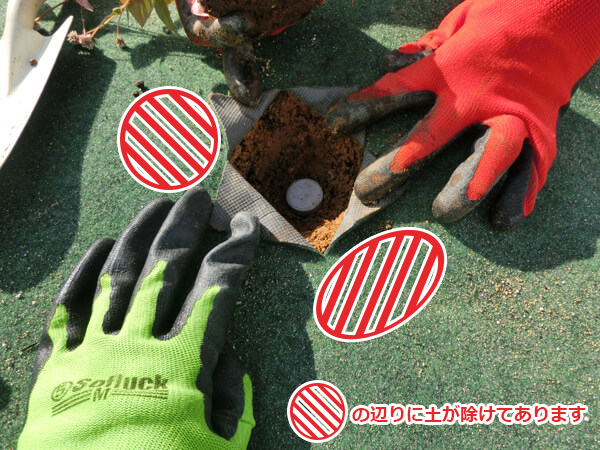 ４穴を掘り肥料を入れる