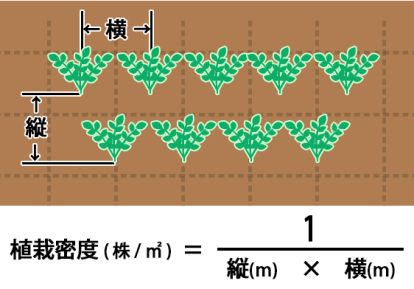 知ってると便利 花苗などの植栽密度と植栽間隔の計算方法