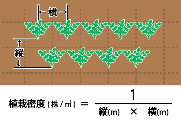 知ってると便利 花苗などの植栽密度と植栽間隔の計算方法 知ってると便利 花苗などの植栽密度と植栽間隔の計算方法