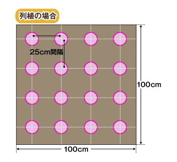 列植の場合