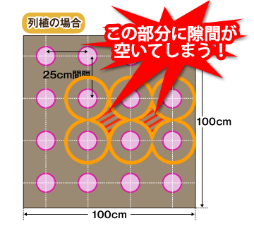 列植の場合2