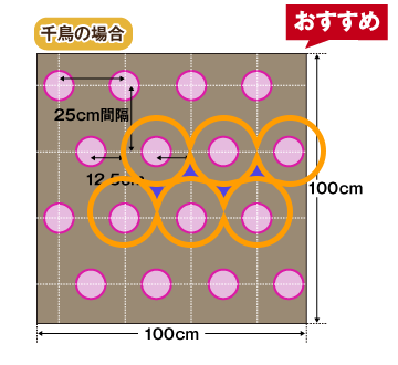 千鳥の場合3