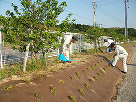 10.水やり