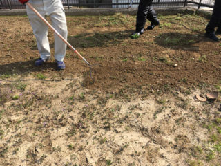 レーキで地面をならす