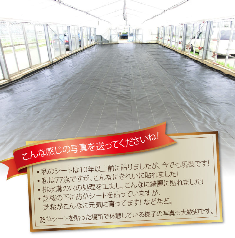 写真見本