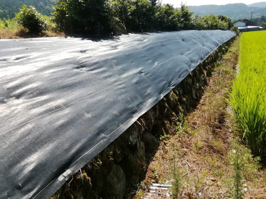 防 草 シート の 上 から 除草 剤