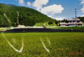 ［川西中山間地域の会　馬場重夫様］雑草対策事例(全景)