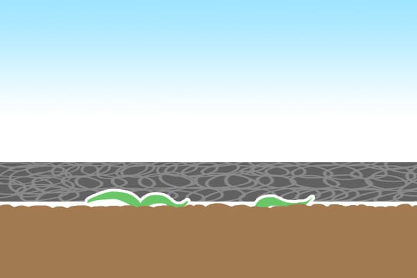 厚みはないがギュッと詰まった硬い防草シート