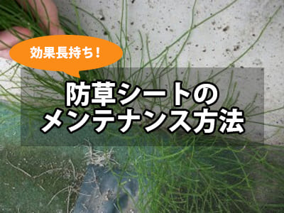 自分で敷ける！防草シートの敷き方