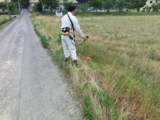 施工前の除草作業