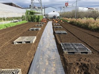 ひろ様 雑草対策事例 防草シート専門店 ひろ様 雑草対策事例 防草シート専門店