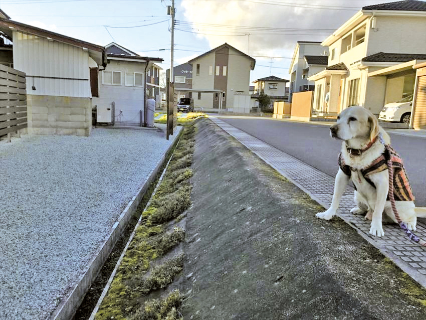 ［まるお君の父です様］雑草対策事例