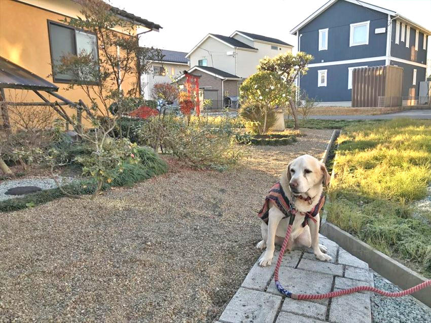 ［まるお君の父です様］雑草対策事例③