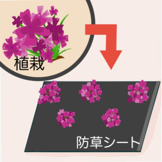 防草シートで植栽