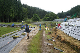 ［大茅地区活性化協議会様］雑草対策事例⑥