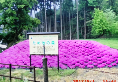 その他の防草シート施工事例（公園）［コンテスト応募作品］