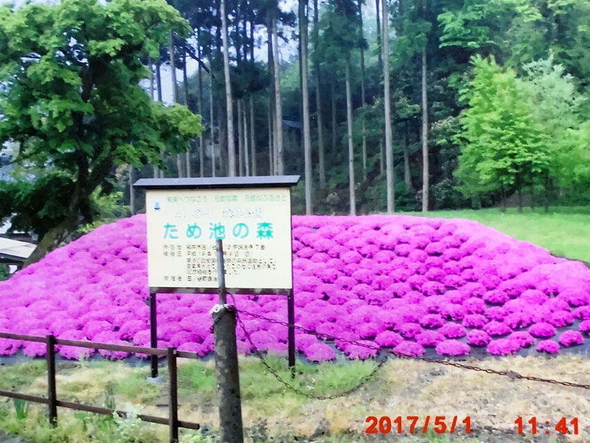 ［御像の会様］雑草対策事例①