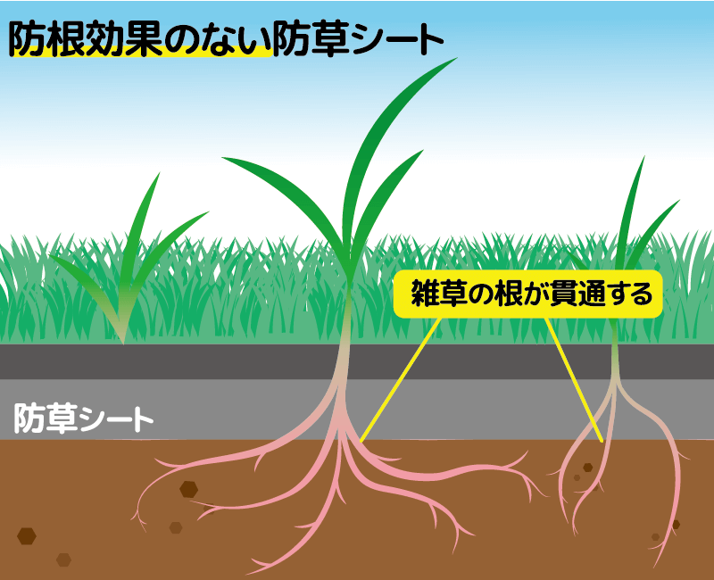 防根効果のない防草シート