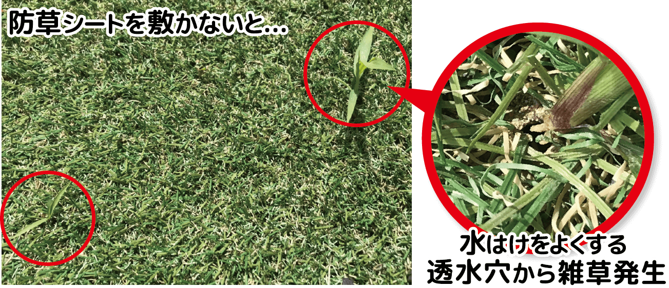 人工芝からの雑草