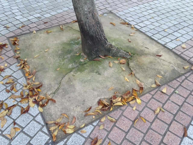 雑草対策 防草舗装（固まる土）