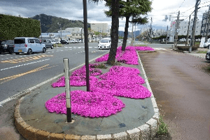 県道