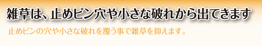 雑草は止めピン穴や小さな破れからでてきます