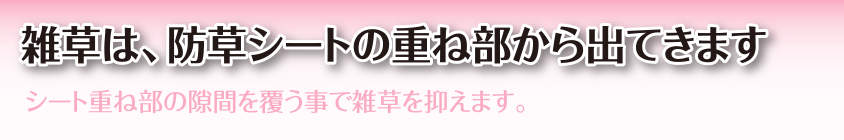 雑草は、防草シートの重ね部から出てきます