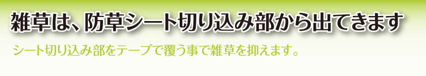 雑草は、防草シート切り込み部からでてきます。