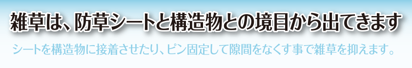 雑草は、防草シートと構造物との境目から出てきます