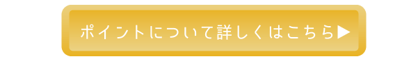 ポイントについて詳しくはこちら