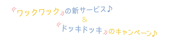 新サービス.キャンペーン