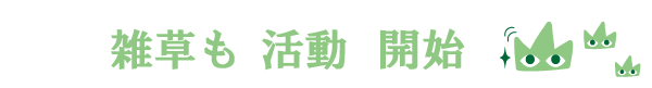 雑草も 活動 開始