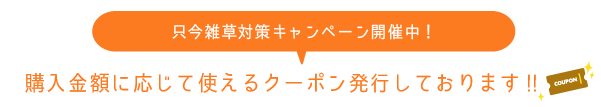 只今雑草対策キャンペーン開催中！