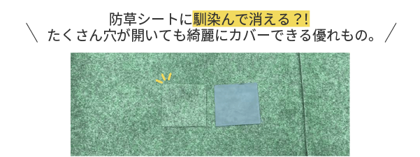 防草シートに馴染んで消える