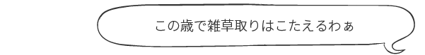 この歳で雑草取りはこたえるわぁ