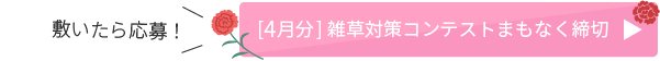 敷いたら応募！[4月分]雑草対策コンテストまもなく締切