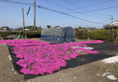 宅地の防草シート施工事例(お庭)［コンテスト2022応募作品］