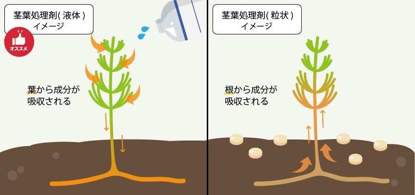 土壌処理剤