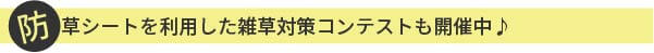 雑草対策コンテストも開催中