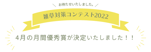 お待たせいたしました。